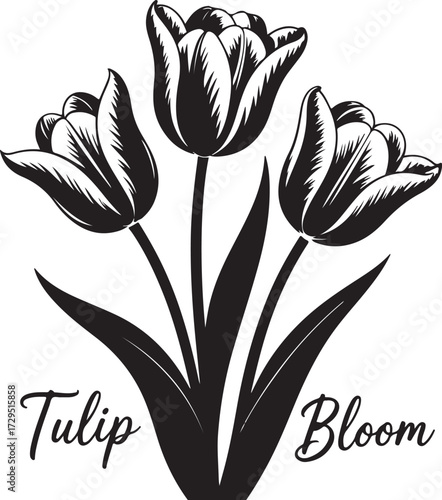 Elegant Black and White Tulip Bloom Graphic