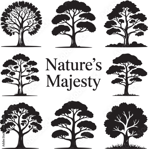 Trees Silhouette Collection