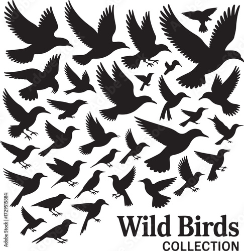 Flock of Birds in Flight