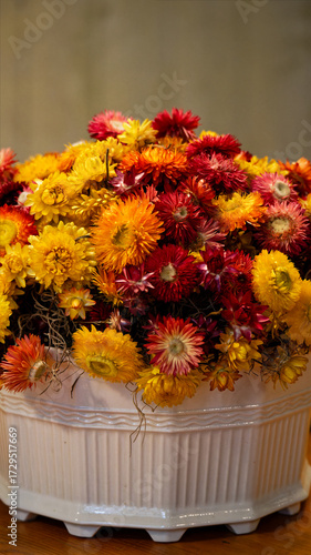 Red and yellow flowers in the pot