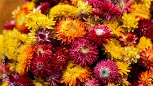 Red and yellow flowers in the pot