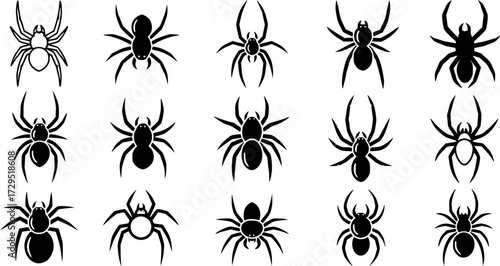 Set of Spider Vector Icons
