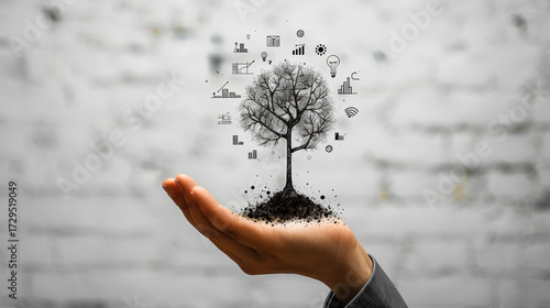 Semillas de Innovación