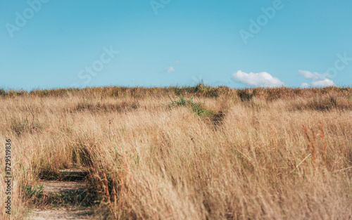 Photography dry field