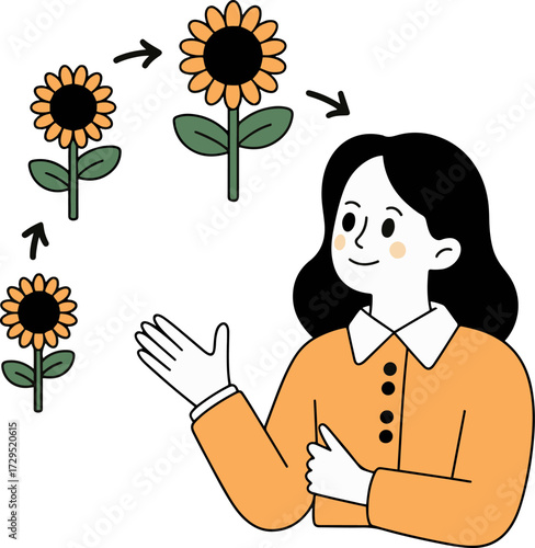 Vector art of a woman is presenting the life cycle of a sunflower, showing the stages of growth from seed to flower, the illustration is simple and educational, perfect for teaching