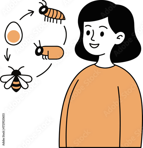 Vector art of a woman is presenting the life cycle of a bee, showing the stages of growth from egg to larva to pupa to adult, the illustration is simple and educational