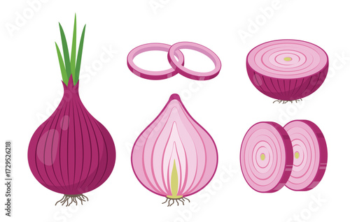 Set of red Onions bulb in peel, halved onion, slices and rings. Cook ingredients, spices. Vegetable Organic food. Vector illustration isolated on white background.