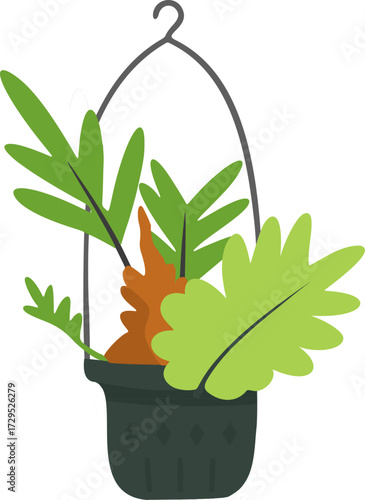 Drynaria Illustration – Hanging Pot Fern Vector