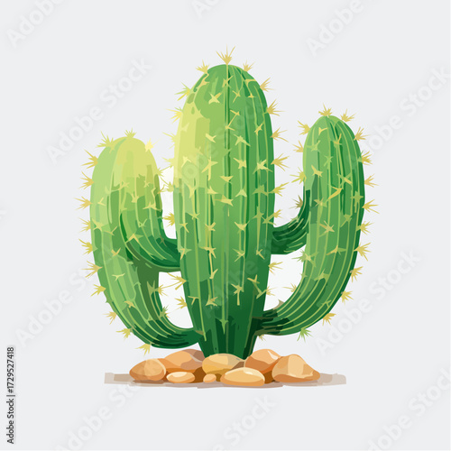 joli cactus isolé, fond clair uni