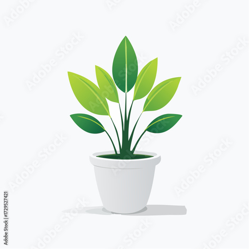 Jolie plante verte en pot blanc, arrière plan blanc uni