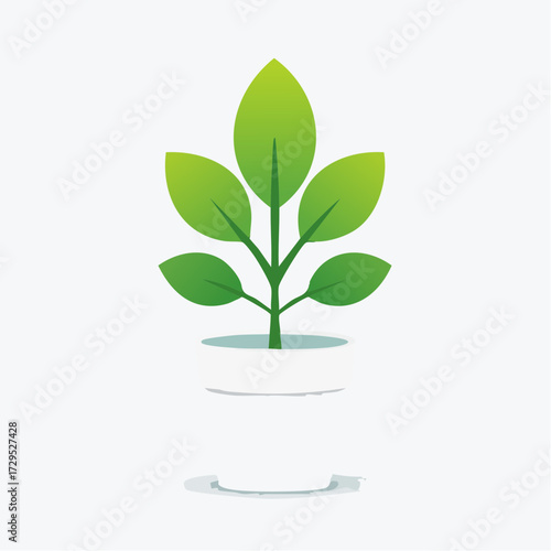 Jolie plante verte en pot blanc, arrière plan blanc uni
