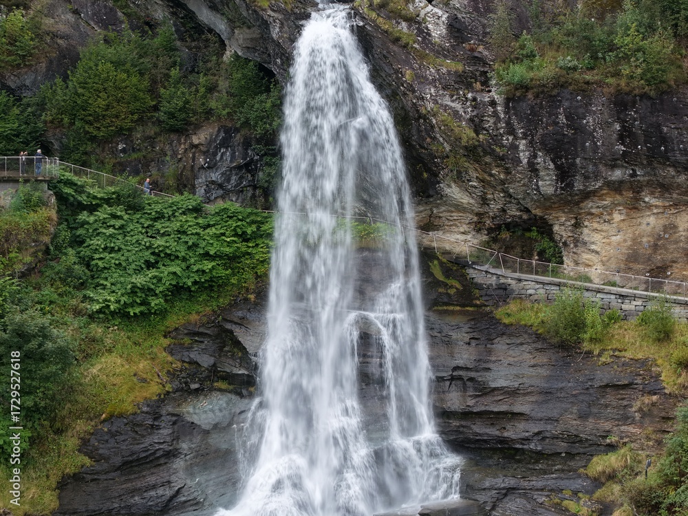 Obraz premium waterfall in the forest