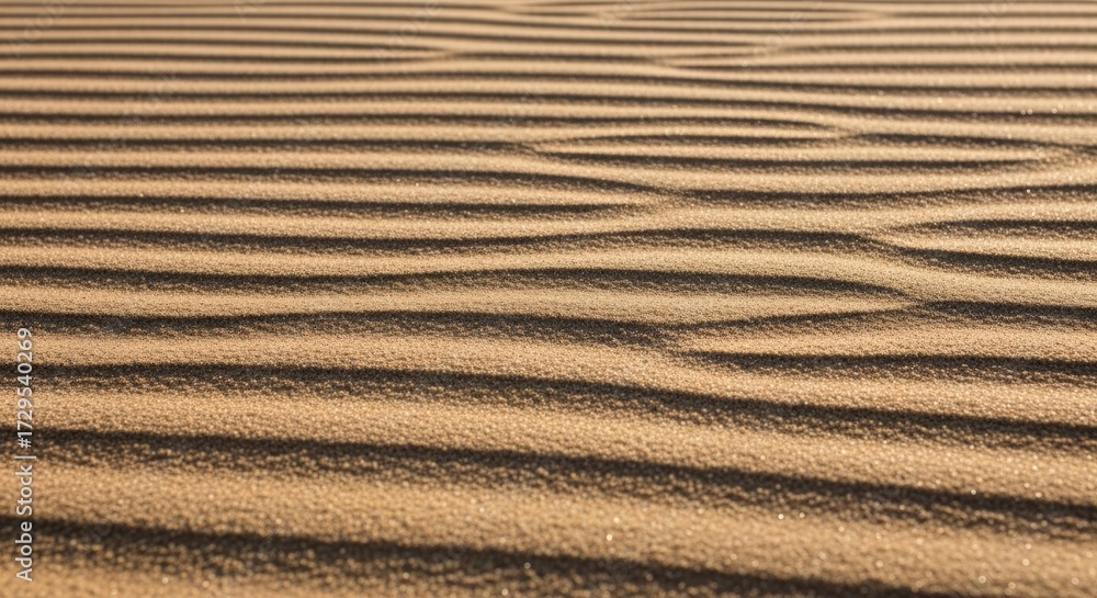 Fototapeta premium Wind-carved sand ripples graphic pattern