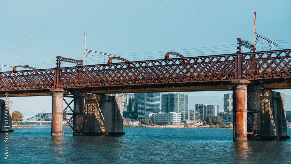 Fototapeta premium train bridge