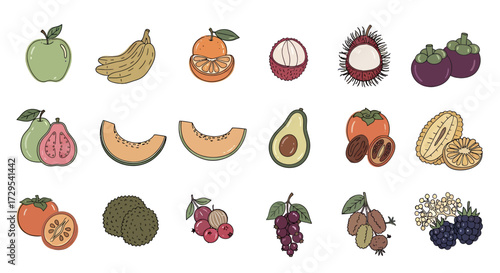Colorful Fruits Collection