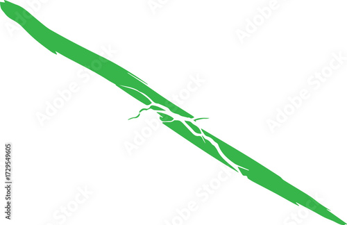Vibrant green abstract brushstroke with delicate white crackle detail on a clean white background