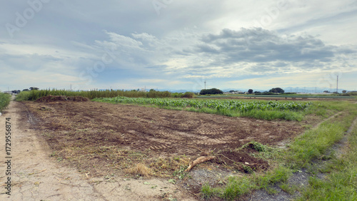 放置農地の畑をユンボで整備