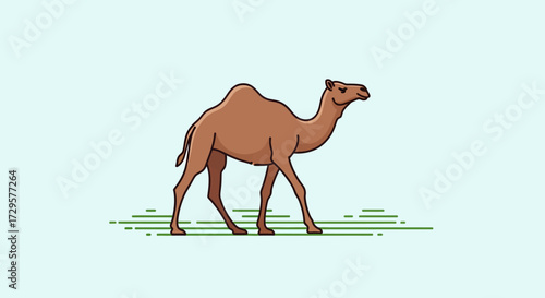 camel cartoon illustration