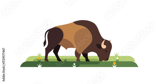 buffalo
