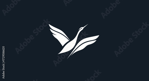 Elegant white bird soaring gracefully against a dark backdrop wings outstretched.