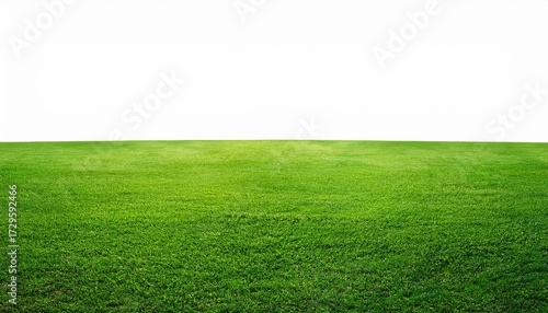 Rasen Gras Wiese Panorama Freigestellt Auf Weissem Hintergrund