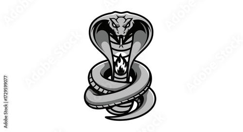 Majestic cobra snake coiled ready to strike with intense focus.