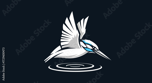 White bird diving into water sharp beak wings spread.