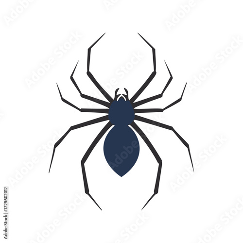 Blue Spider Body with Black Legs on White arachnid