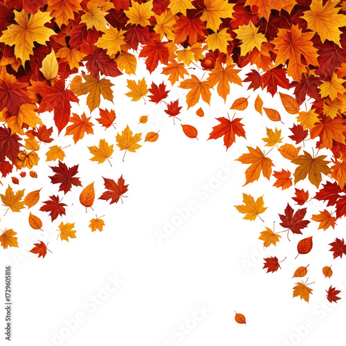 Falling colorful maple leaves, autumn season, black background