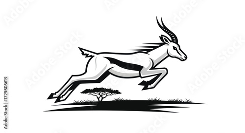 Graceful Springbok Antelope Leaping in African Savannah.