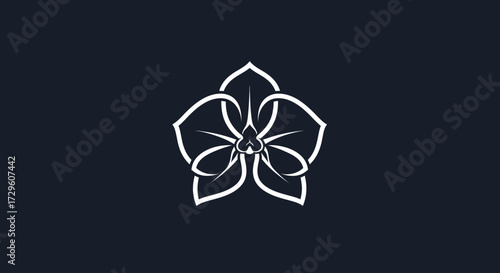 Elegant white orchid flower design on a dark background minimalist style.