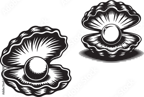 Engraving Style Illustration Clam Shell Oyster Pearl Black White Isolated