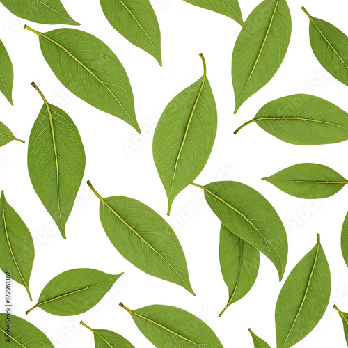 Green leaves scattered on a black background, a natural pattern