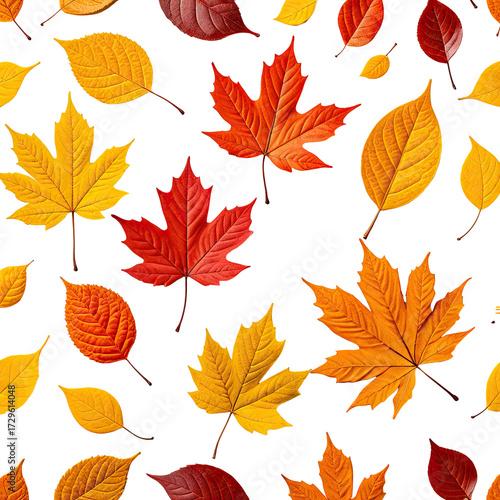 Colorful autumn leaves on black background, scattered