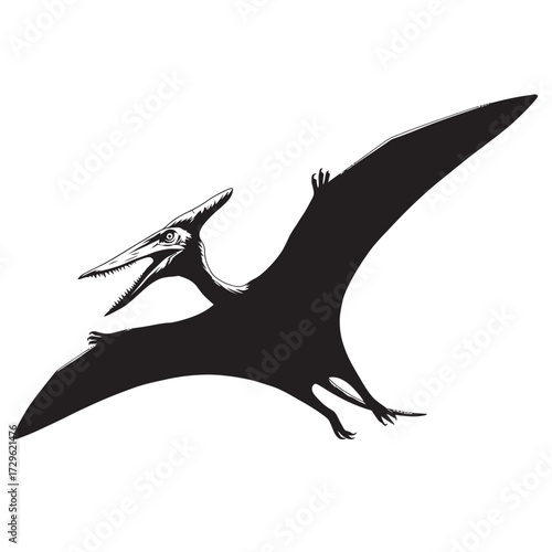 black and white silhouette of a Pterodactyl vector on a white background
