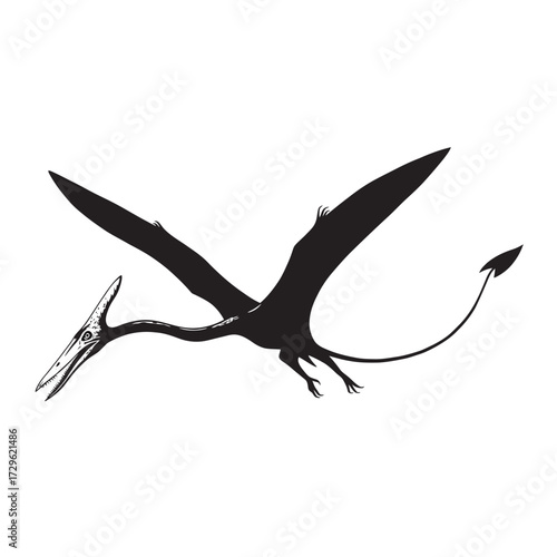 black and white silhouette of a Pterodactyl vector on a white background