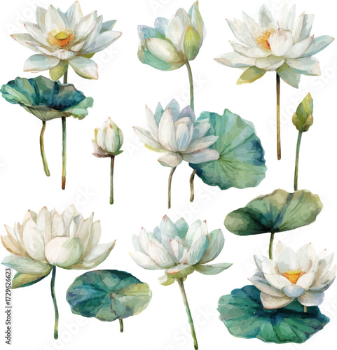 
Watercolor white lotus flower clip art, white background, cute style, simple design,