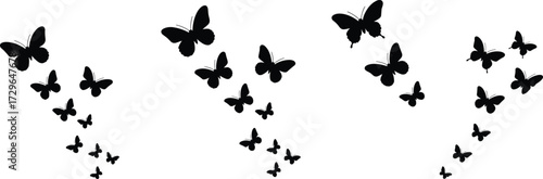 Butterfly silhouette vector, flying formation design, symmetrical insect graphic, nature flight pattern, elegant wing shape, flat vector illustration