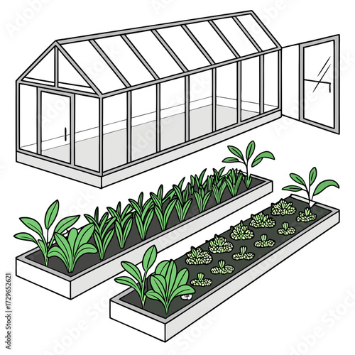 A stylized illustration of a greenhouse with an open door and three raised garden beds filled with various green plants and seedlings showcasing a home gardening concept