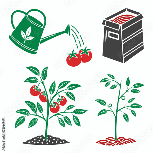 Illustration of gardening elements including a watering can, compost box, tomato plant, and plant, a bold and graphic depiction of gardening