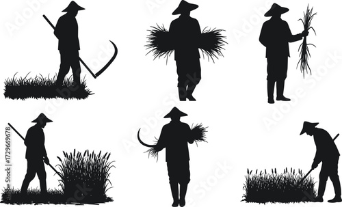 Farmer silhouettes harvesting crops with sickle, traditional agriculture workers, rural lifestyle, rice field farming, manual labor vector illustration design