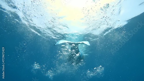 Underwater 4k view of a mermaid diving deep, creating bubbles as she descends into the dark blue ocean water with sun rays breaking through the surface.