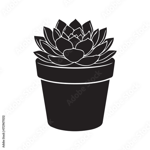 Succulent plant silhouette in a pot. Vector graphic icon of a potted houseplant, Echeveria, isolated on white background. Minimalist black and white botanical illustration for home decor.
