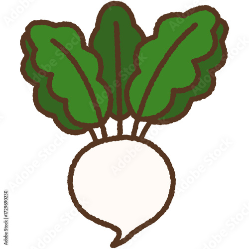 手書き風の単品アイコンイラスト　野菜　カブ