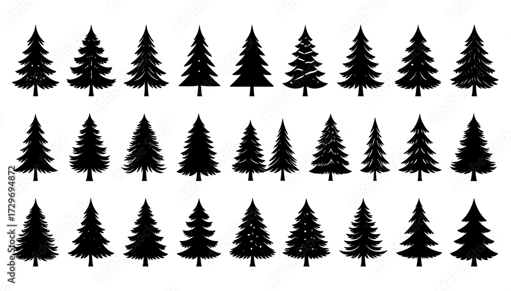 Fototapeta premium Silhouettes of various pine trees (1)