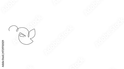 Scallops in shell with slice of lemon and mint leaves, animated self drawing of single continuous line, continuous contour movement, video drawing of line in 4k, seafood, delicacy, one line