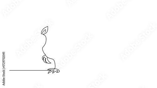 Animal armadillo, animated self drawing of single continuous line, continuous contour movement, video drawing of line in 4k, placental mammals, symbol of Texas,survival in harsh conditions, one line