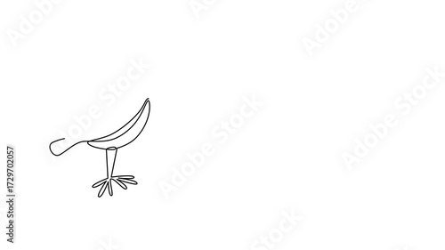 Set of birds, animated self drawing of single continuous line, continuous contour movement, video drawing of line in 4k, ornithology, sparrows, jays, one line