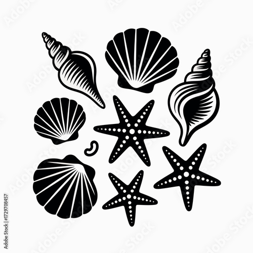 Collection of black and white seashell and starfish illustrations on a white background