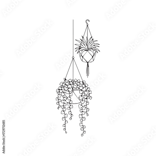 Two Hanging Houseplants in Baskets Line Art. Hand-Drawn Trailing and Spider Plant Illustration. Minimalist Botanical Doodle, Outline Vector Isolated on White for Home Decor.
